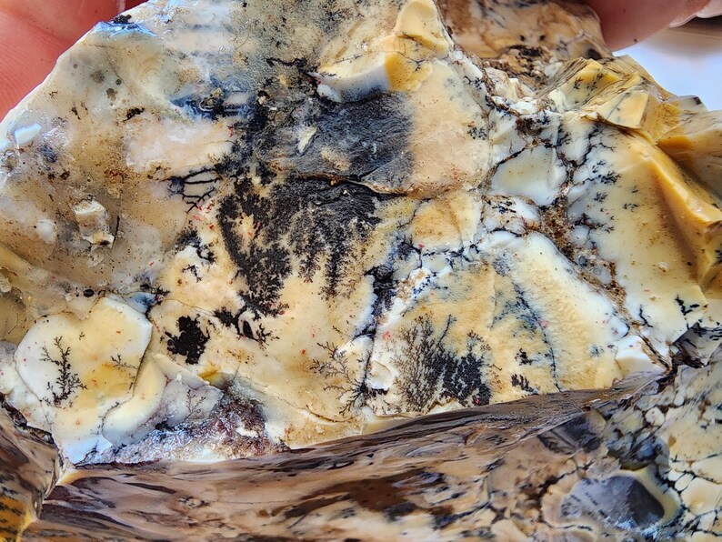 Large Opal Specimen, Large Yellow Opal, Dendritic Opal Rough, Dendrite Opal Rough, 수지상 오팔, Lapidary, Raw Dendritic Opal
