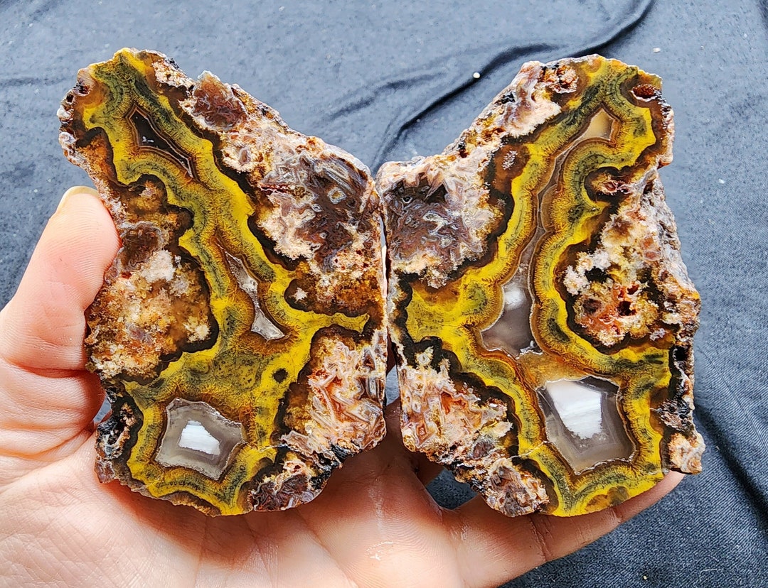 Yellow Agate, Healing Stones, Collectable Rocks, Fortification Agate