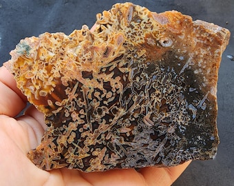 Needle Agate Pair, Turkish Lapidary Rough, Collectible Agate