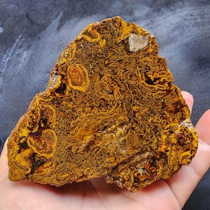 Beautiful Agate, Rare Rock, Plume Agate, Collectible Agates, Rare Agate, Agate Stone, Moss Agate, Lapidary Material, Lapidary Rough Rock