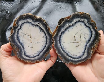 Dendritic Opal Thunder Egg Pair: Natural Turkish Specimen, 21.7 oz