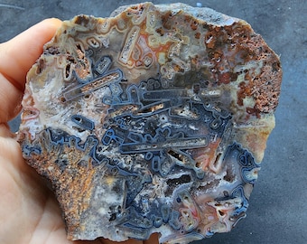 May include: A slice of agate with a variety of colors and patterns, including brown, white, blue, and orange. The agate has a unique, intricate design with many layers and swirls.