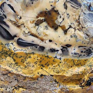 Large Opal Specimen, Large Yellow Opal, Dendritic Opal Rough, Dendrite Opal Rough, 수지상 오팔, Lapidary, Raw Dendritic Opal