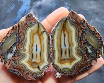 Agate Slab, Agate Rough, Fortification Agate, Agate Gift, Agate Halves, Agate Pair, Druzy Agate, Collectible Agate, Beautiful Agate