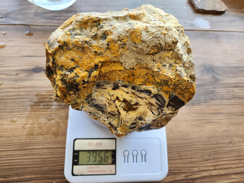 Large Opal Specimen, Large Yellow Opal, Dendritic Opal Rough, Dendrite Opal Rough, 수지상 오팔, Lapidary, Raw Dendritic Opal