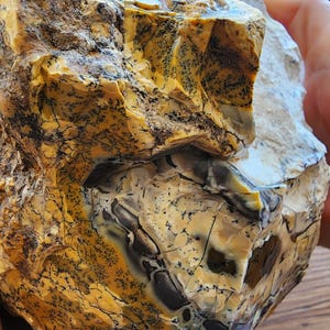 Large Opal Specimen, Large Yellow Opal, Dendritic Opal Rough, Dendrite Opal Rough, 수지상 오팔, Lapidary, Raw Dendritic Opal