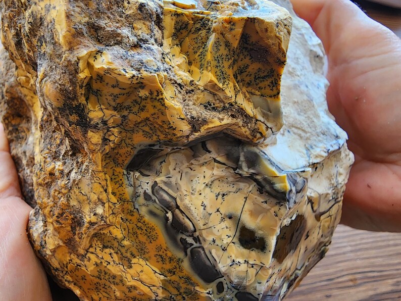 Large Opal Specimen, Large Yellow Opal, Dendritic Opal Rough, Dendrite Opal Rough, 수지상 오팔, Lapidary, Raw Dendritic Opal
