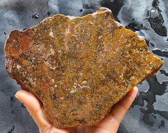 Unpolished Plume Agate, Large Turkish Agate ;2.6 lbs