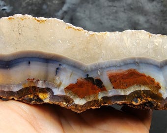 Collectible Blue Agate, Lapidary Rough, Decorative Rock: 23.45 oz