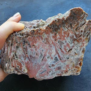 Lapidary Rock, Big Agates, Rocks for Display, Decorative Agate, Agate Display, Large Agate, Stones for Crafts, Raw Agate, Collectible Agate
