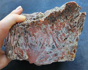 Large Pseudomorph Agate Slab, Raw Turkish Lapidary Rock, Collectible Agate Display