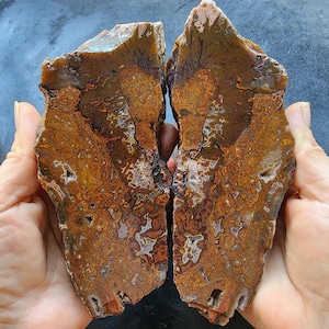 Cabbing Lapidary Slab, Lapidary Slabs, Natural Agate Rough, Plume Agate Rough, Lapidary Agate, Moss Agate Rough, Raw Agate, Agate Slab
