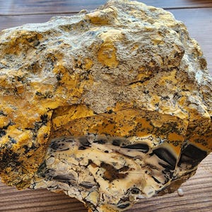 Large Opal Specimen, Large Yellow Opal, Dendritic Opal Rough, Dendrite Opal Rough, 수지상 오팔, Lapidary, Raw Dendritic Opal
