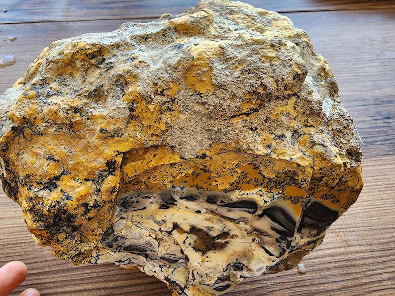 Large Opal Specimen, Large Yellow Opal, Dendritic Opal Rough, Dendrite Opal Rough, 수지상 오팔, Lapidary, Raw Dendritic Opal