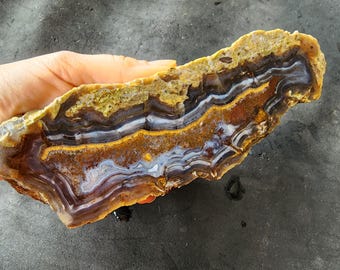 24.97 oz (708 gr) Petrified Wood Limb Cast (Agate), Limb Cast, Agate Wood Slice, Plume Agate, Agatized Wood Specimen, Natural Stone Slice