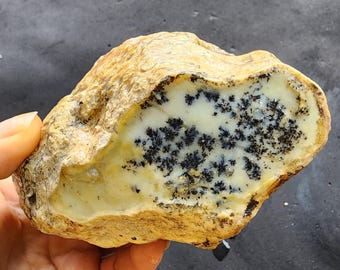 Dendritic Opal With Fossil Marks, Dendrite Opal, Energy Stone, 18.41 oz