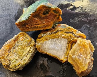 Agatized Petrified Wood Limb Casts, Fossil Rock, Lapidary Rough