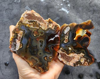 Orbicular Eye Agate Pair, Multicolor Unpolished Agate, 18.62 oz