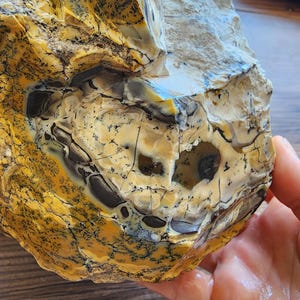 Large Opal Specimen, Large Yellow Opal, Dendritic Opal Rough, Dendrite Opal Rough, 수지상 오팔, Lapidary, Raw Dendritic Opal