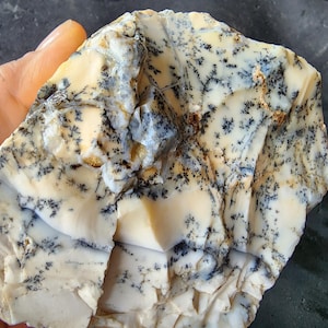 Puede incluir: Una piedra natural en bruto, con una base de color blanco crema, que presenta intrincados patrones dendríticos negros que se asemejan a pequeños árboles. La piedra tiene una textura rugosa e irregular. Un artículo decorativo único.
