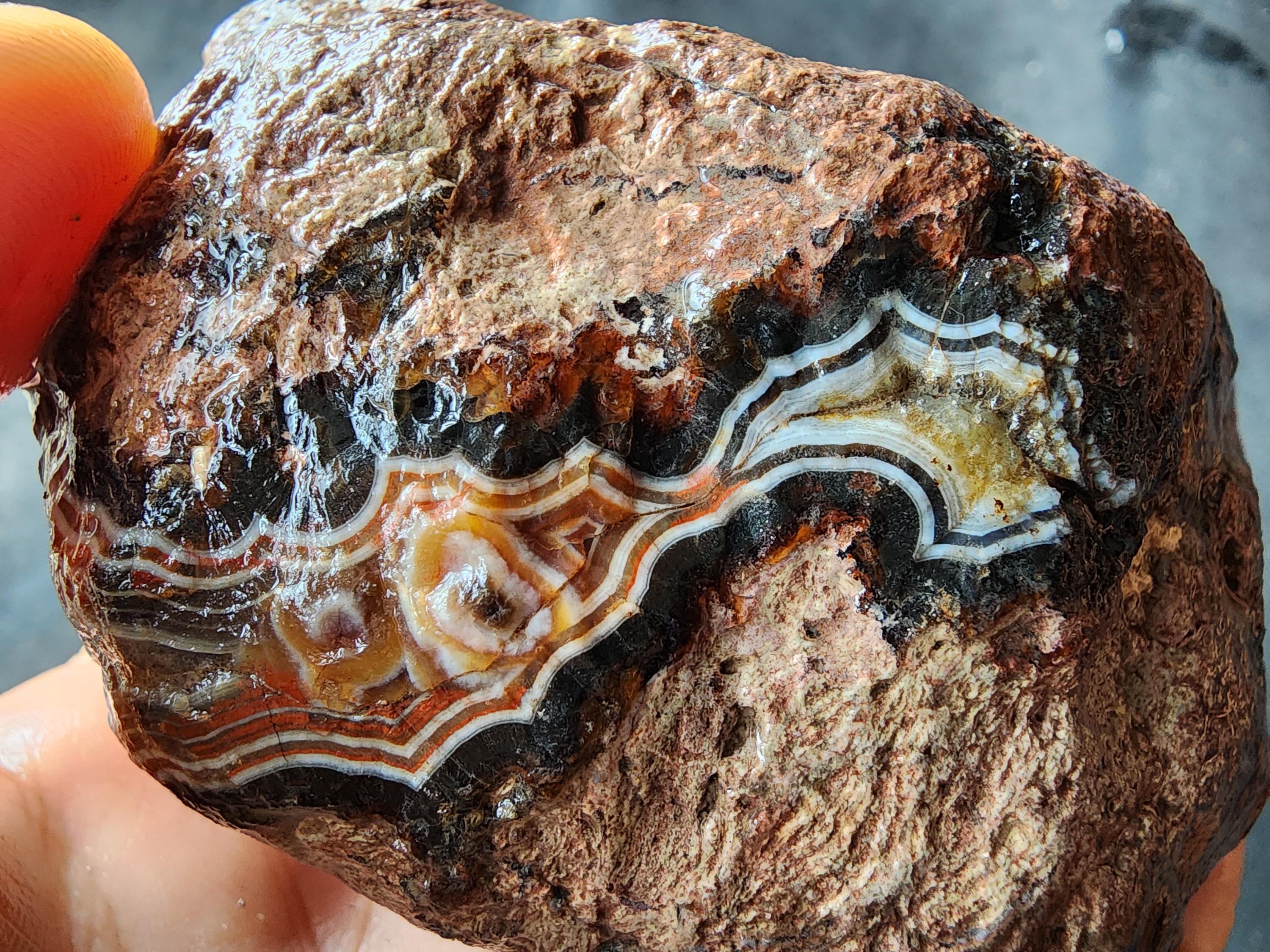 Identifying Agate Rocks Rough Unopened Banded Agate Nodule, Natural Rough Stone, Turkey Origin - Etsy