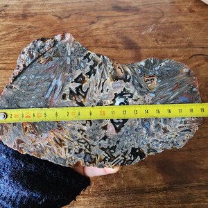 O&co Opale boulder lapidaire queensland cadeau noël 20.70cts