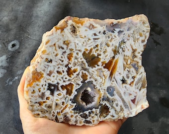 Spiritual Stones, White Agate Slabs, Energy Stone, Agates for Jewelry Making, White Agate Slice, White Agate Stone, アゲート, Agate for Jewelry
