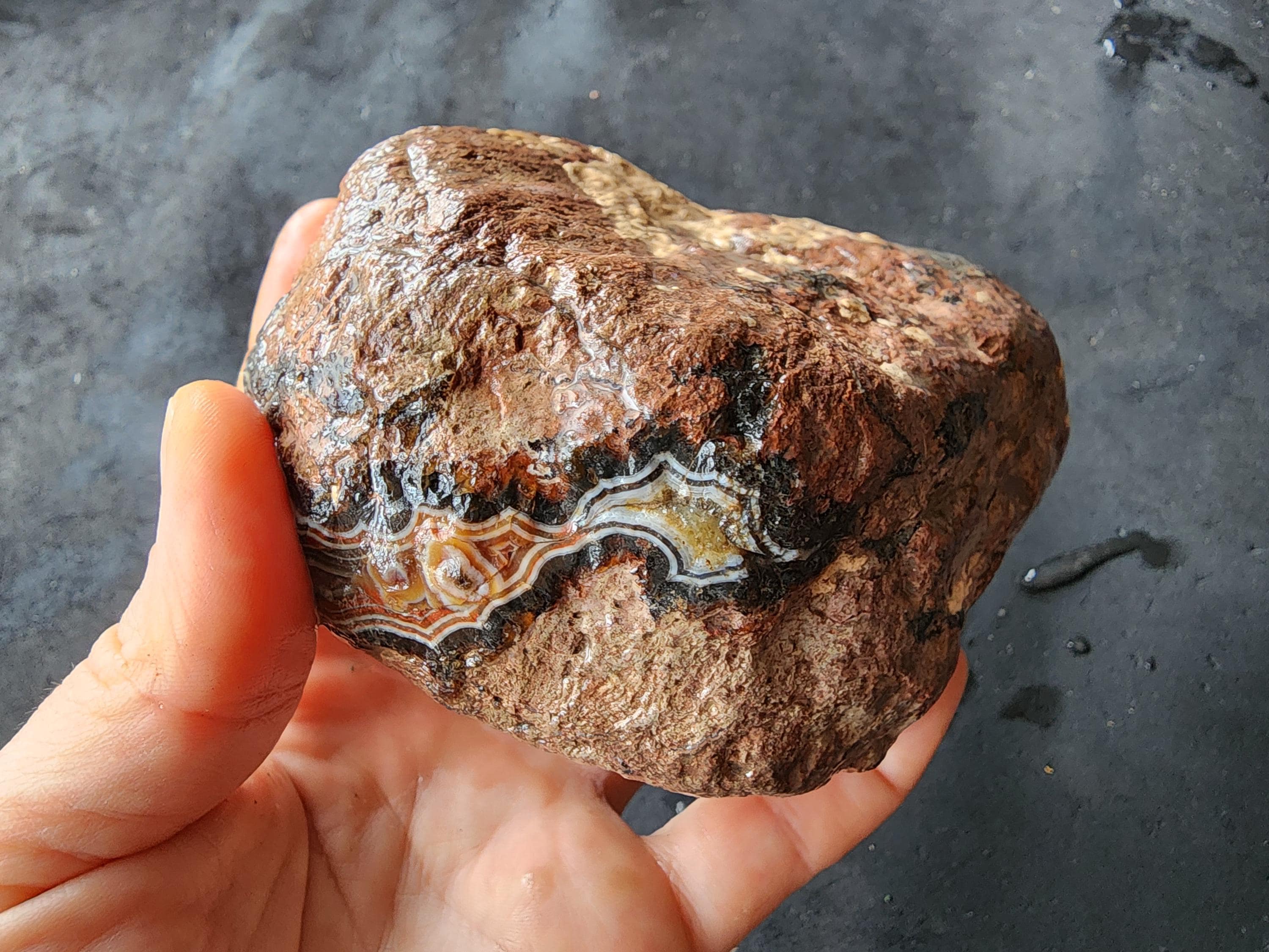 Identifying Agate Rocks Rough Unopened Banded Agate Nodule, Natural Rough Stone, Turkey Origin - Etsy