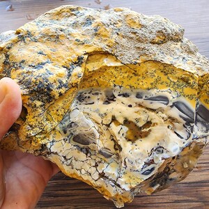 Large Opal Specimen, Large Yellow Opal, Dendritic Opal Rough, Dendrite Opal Rough, 수지상 오팔, Lapidary, Raw Dendritic Opal