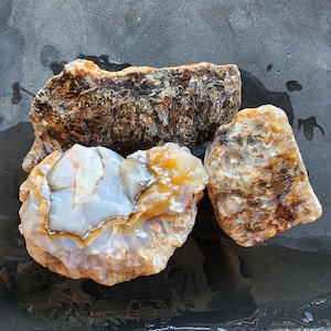 May include: Three raw, uncut gemstones with unique patterns and colors. The largest stone is a dark brown with a textured surface. The other two stones have a mix of white, orange, and brown hues, with visible crystalline structures. The stones are displayed on a dark, wet surface.