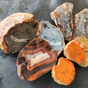 May include: A selection of polished agate stones in various shapes and sizes. The stones display a range of colours, including orange, brown, grey, and white, with intricate banding patterns. Some have rough, natural edges, while others are cut and polished.