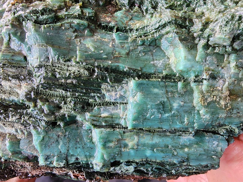 Lapidary Equipment, Turkish Colla Wood Rough, Collawood, Lapidary Machine, Colla Wood, خشب متحجر, オパライズドウッド, Expensive Rocks, Lapidary Tools, lapidary template