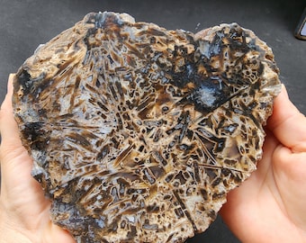 Raw Agate Slab, Lapidary Rough, Decorative Rock
