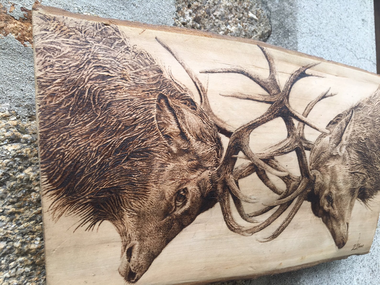 1 les cerfs pyrogravure Etsy France
