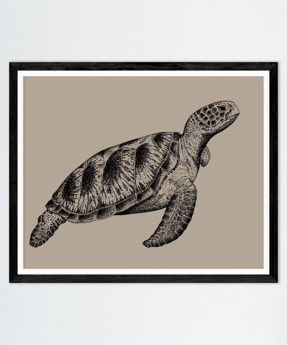 Sea Turtle Drawing Print Nautical Underwater Decor Marine Art Victorian Style Gallery Wall Art Boys Bedroom Decor Steampunk Ink Sepia