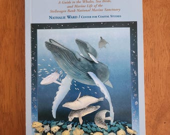 STELLWAGEN Una guía sobre las ballenas, las aves marinas y la vida marina del Santuario Marino Nacional Stellwagen Bank Nathalie Ward estudios costeros