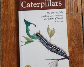 Guía de campo de Peterson First Guides Caterpillar, guía de naturaleza, tapa blanda, vintage