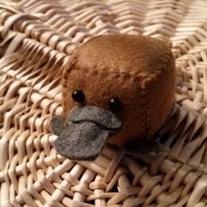 May include: A brown felt plush toy shaped like a platypus. The toy has black eyes, a gray felt beak, and a stitched seam around the middle.