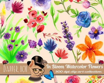 Big 47 Piece Digital PNG Watercolor Flowers Clip Art Collection