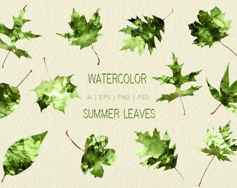 Watercolor Summer Leaves PNG Clip Art Collection