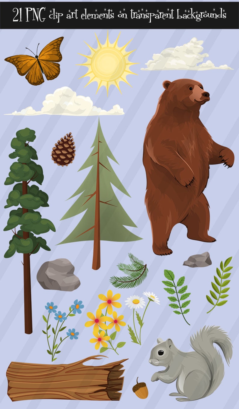 Summer Forest Bear and Squirrel Nature Clip Art Collection Wildflowers Woodlands PNG Clipart Set image 3