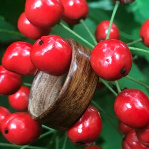 Exotic Wood Ring, Exotic Wood Jewelry, Wood Weeding Ring, Unique Wedding Ring Women, Unisex Ring, Wood Ring Men, Wood Ring Men Wedding image 4