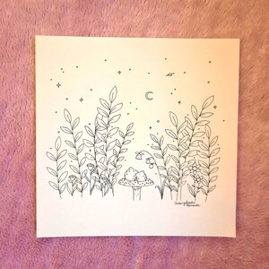 Op de afbeelding: Een zwart-witte lijntekening van twee kikkers die op een paddenstoel zitten onder een halve maan. De kikkers worden omringd door hoog gras en bloemen. De tekening is op een witte achtergrond met een sterrenhemel.