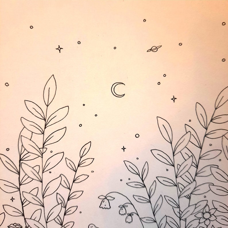 Op de afbeelding: Een zwart-witte lijntekening van een nachtelijke hemel met een halve maan, sterren en een planeet. De onderkant van de afbeelding toont een lijntekening van bladerrijke planten.