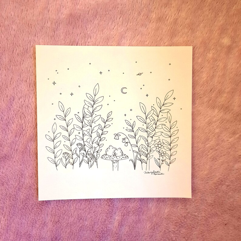 Op de afbeelding: Een zwart-witte lijntekening van twee kikkers die slapen op een paddenstoel onder een halve maan. De kikkers worden omringd door hoog gras en kleine bloemen. De tekst "intergalactic nomadic" staat onderaan de afbeelding.