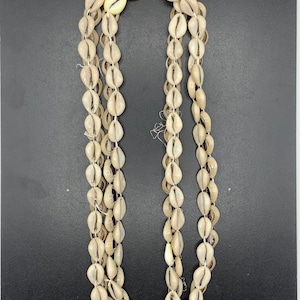 Cowrie Shell Necklace 12INCH