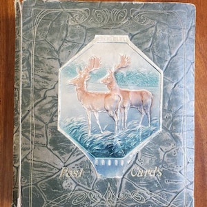 Antike Sammelalben PICK 1: Pre-1912 Deutsches Postkarten Album oder Alaska Album Goldfarben mit schwarzen unbenutzten Seiten Handgemalter Eisbär-Einband