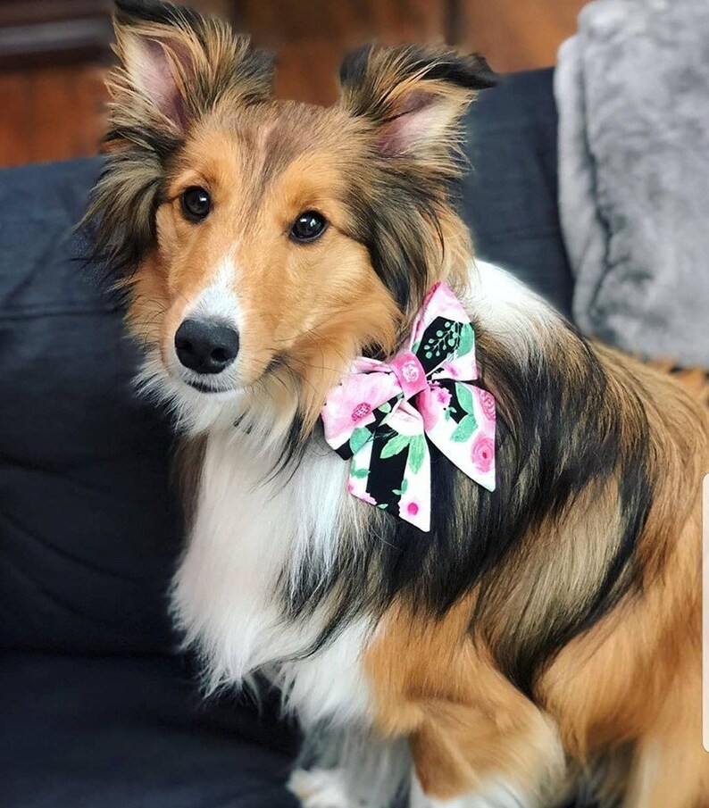 New Bright Pink Sailor Bow You Choose the Fabric Dog Bow Etsy