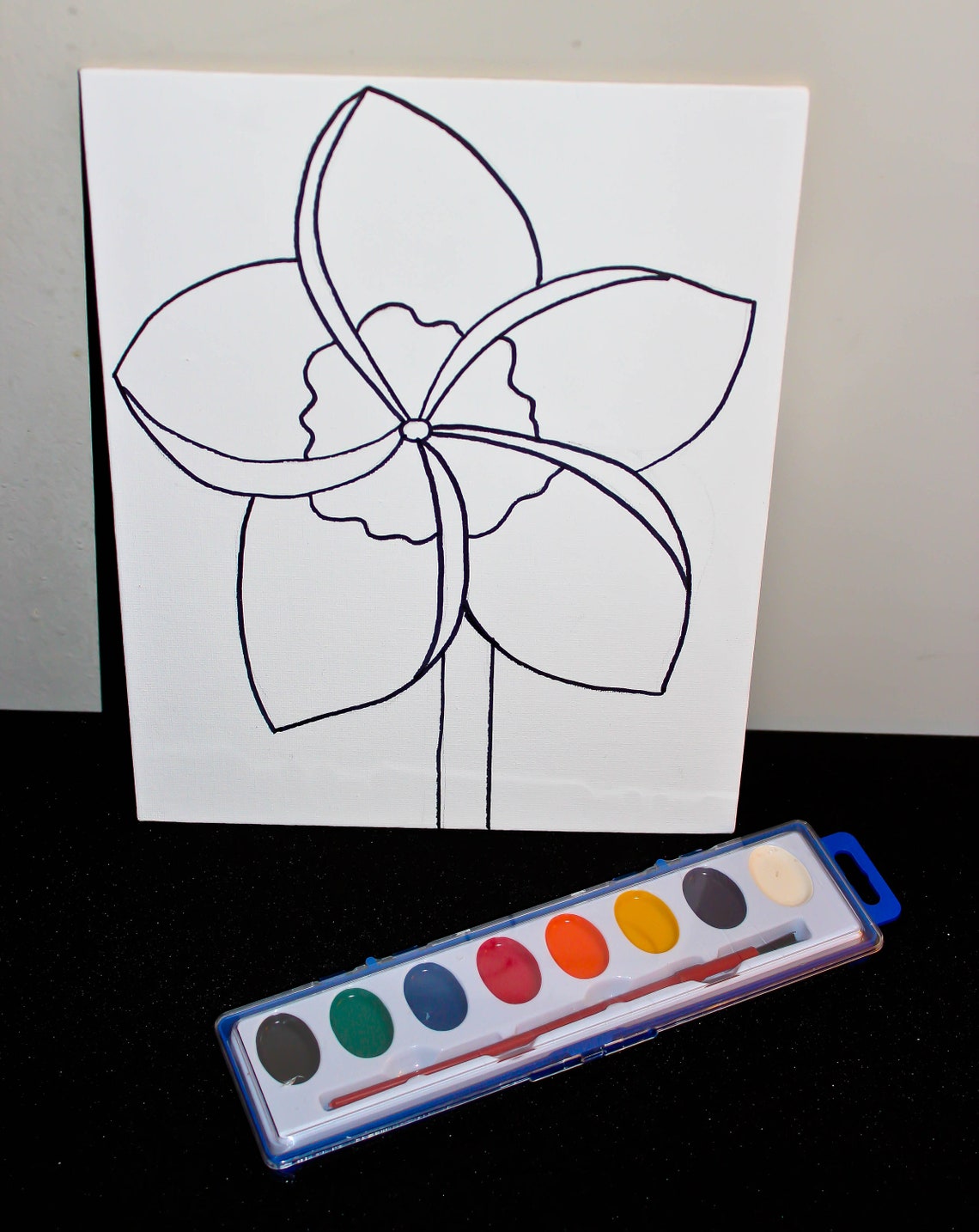 Paint Party Kit Art Painting Kit 8 X 10 Predrawn Stretched Etsy
