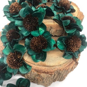 May include: A collection of decorative flowers with dark green petals and brown centers. The flowers are arranged on a natural wood slice, creating a rustic and organic aesthetic. The flowers are likely made of dried materials.